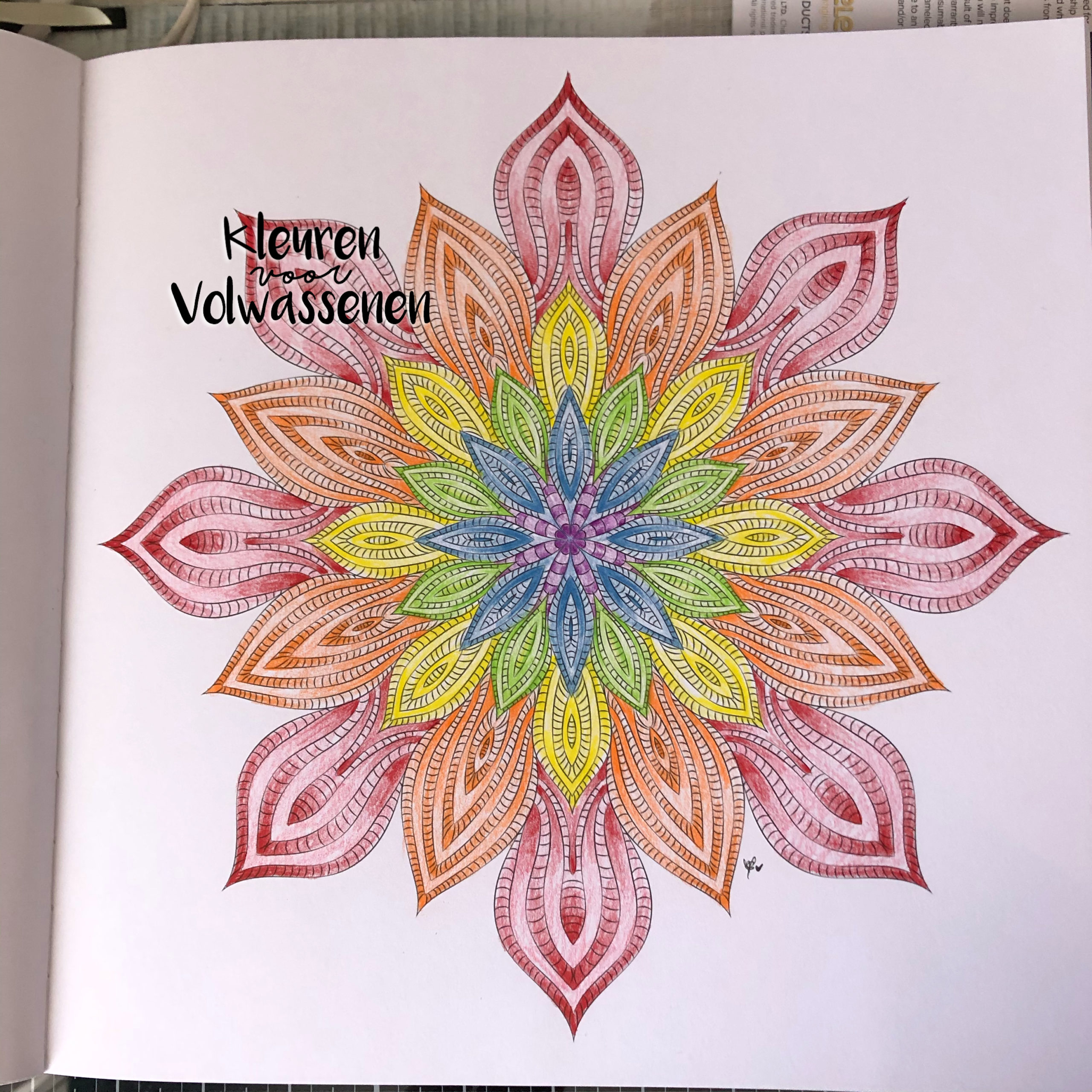 tapijt Spreek uit Moskee Magische Mandala's - Kleuren voor Volwassenen
